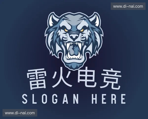 解读雷火电竞体育